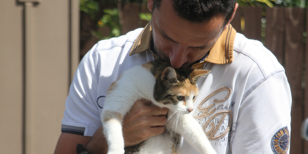 INSTANT RAPPORT: Daniel Fasnacht and resident cat Lucy, her new owners' most important chattel.
