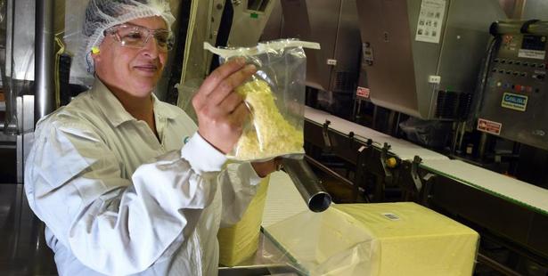 Fonterra Stirling site jack-of-all-trades Jonni de Malmanche takes a sample from a 20kg block of cheese. Photo / Stephen Jaquiery