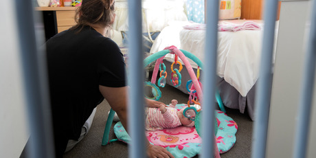 New Zealand Herald photograph by Brett Phibbs.