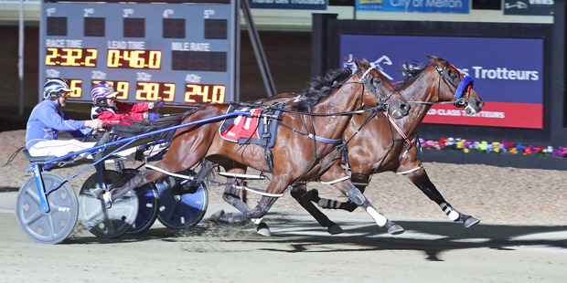 Have Faith In Me (11). File photo / Stuart McCormick