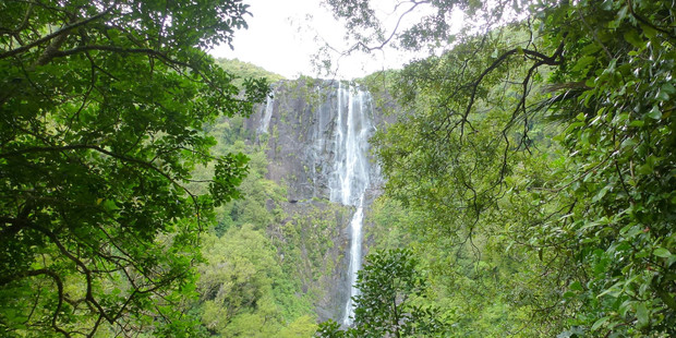 The Wairere Falls track is a popular one with trampers. Photo / File