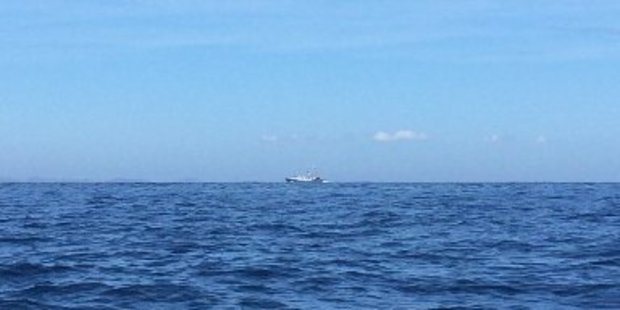 A tuna boat and a helicopter working in unison outside Doubtless Bay on Saturday. Photo / Danielle Collings
