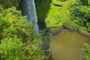 A Waikato Regional Council Facebook page follower described the current water colour of Raglan tourist spot Bridal Veil Falls as the "colour of cow poo". Photo / WRC Facebook