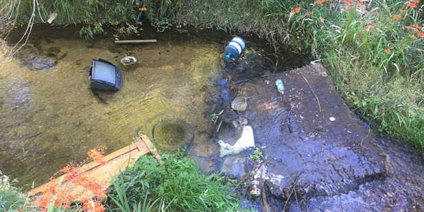 Trash pulled from the Mangakakahi Stream this week. Photo/Supplied