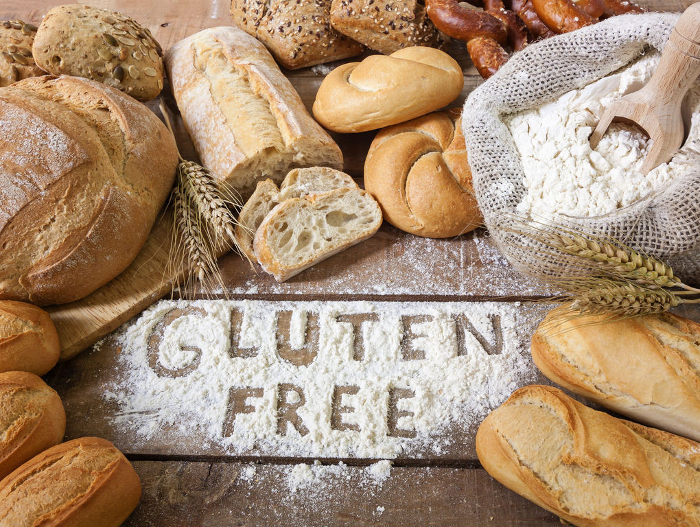 The History Of Gluten In The Human Diet Book