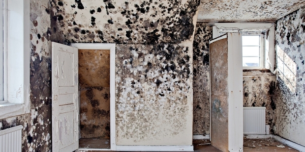 After the Great Plague of 1665, came the less famous Bubonic Bedroom Blight of 1704. Photo / (Via terriblerealestateagentphotos.com)