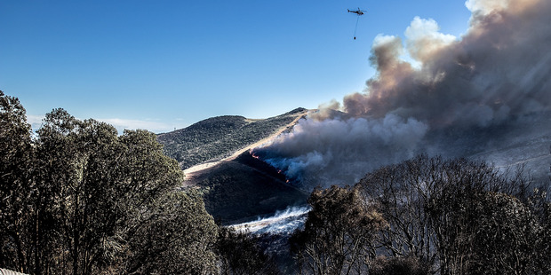 Photo / Christchurch Star - Martin Hunter