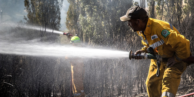 Photo / Christchurch Star - Martin Hunter