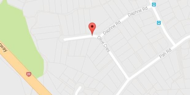Four fire crews, police and ambulance were at the scene on Olive Cres in Papatoetoe. Photo / Google