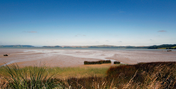 The final resting place of a giant penguin at Aotea Harbour, between Raglan and Kawhia on the West coast. PHOTO / SARAH IVEY
