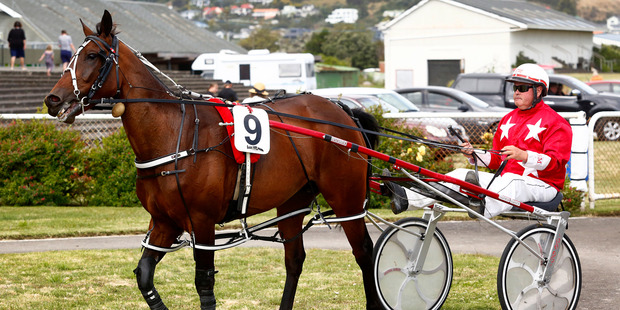 Maxim with Brent Mangos secures a debut victory on grass with the Ag Challenge Ltd Wanganui Cup. Photo / Bevan Conley