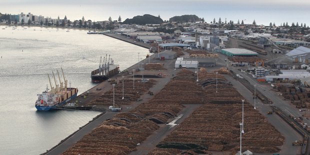 Port of Tauranga - New Zealand's largest freight gateway - today announced it is on track to become the first port in the country to transport more than 1 million containers in a single year. Photo/file