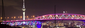 The Auckland Harbour Bridge will feature a special light show in honour of Anzac Day. Photo / Nick Reed