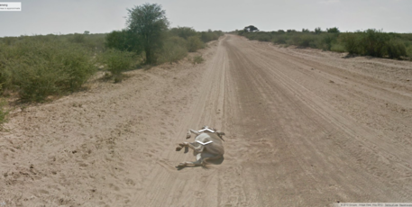 The image of the donkey lying on the road in Botswana. Photo /Google Street View The image of the donkey lying on the road in Botswana. Photo /Google Street View
