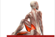 All-in Yoga app.
Photo / iTunes