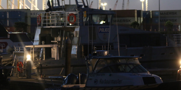 Two children were pulled from the sea at Rangiahua Island last Friday. Photo / Daniel Hines