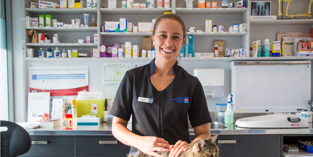 Tauranga Vets veterinarian Holly Rabone features in new show Pet Medics debuting next week. Photo/supplied