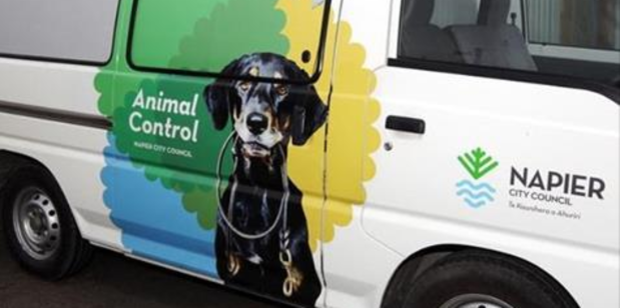 Napier City Councillors are commending improved dog control statistics. However an animal advocacy group has blasted the report for "omitting" major issues.