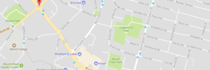 Five people were injured after the car they were travelling in hit a tree on St Lukes Rd early today.