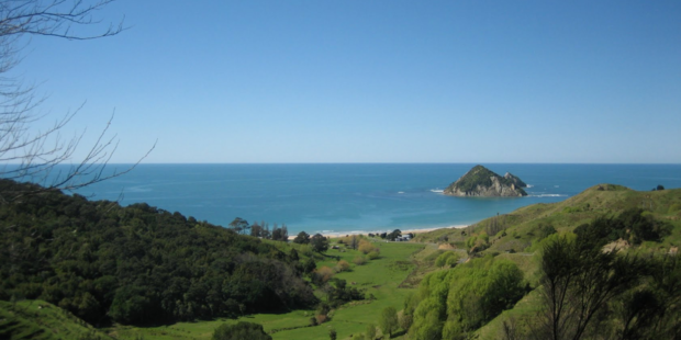 A diver collapsed and died after leaving the water in Anaura Bay, north of Gisborne. Photo / Google Earth