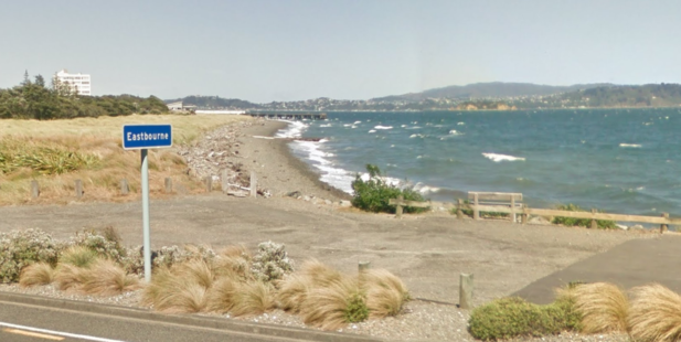 A man was pulled from the Wellington Harbour unconscious before he later died in hospital. Photo / Google Earth