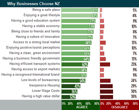 Why businesses choose New Zealand