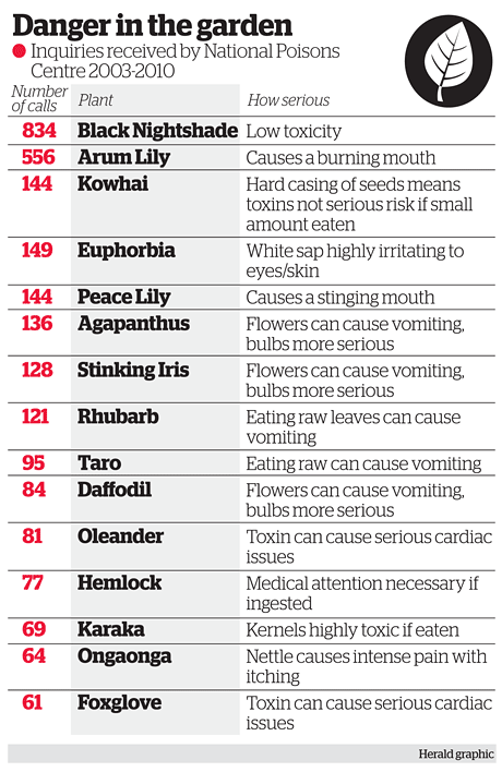 Poisonous plants to steer clear of