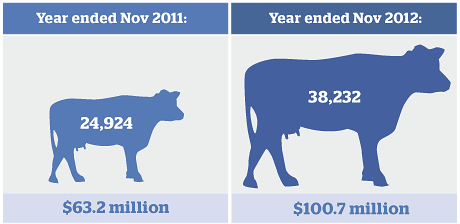 Dairy Cattle exports to china