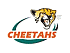 Cheetahs