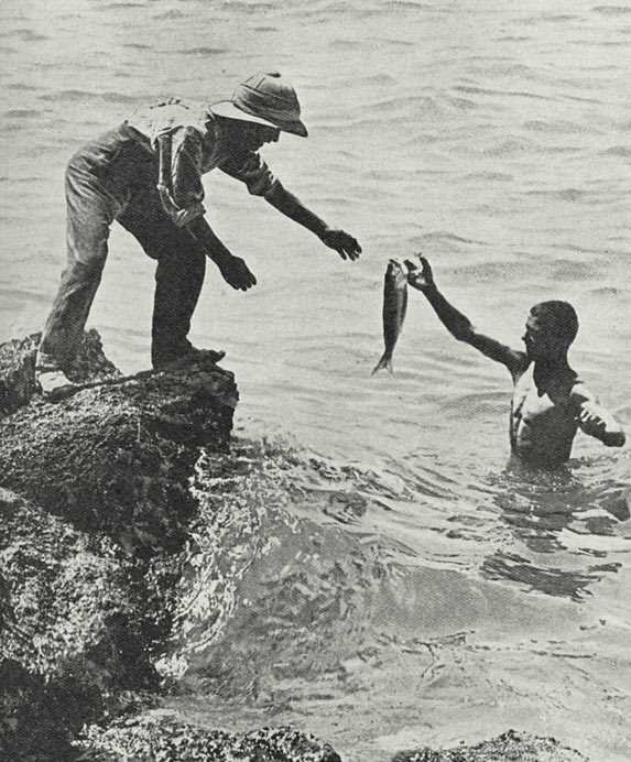 A British soldier make the most of a welcome by-product of the Turkish artillery, fresh fish. | Weekly News