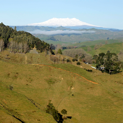 weather-taumarunui-image