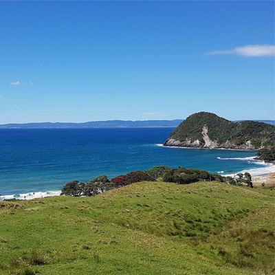 weather-whangarei-image