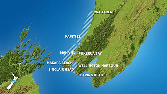 Marine Recreational Forecasts - Kapiti