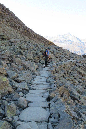 The Panorama pathway