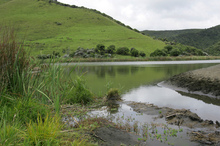 A 50-year-old man went missing after a morning swim at Lake Wainamu at Bethells Beach. Photo / File