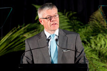 Tony Carter, Chairman Air New Zealand, says cultural fit can probably be better assessed by interviews and referee checks. Photo / NZ Herald