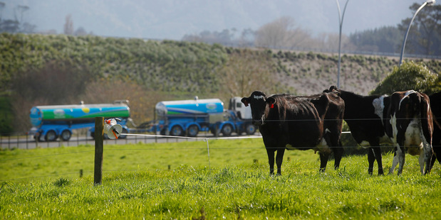 Fonterra can raise equity from only two sources. Photo / Christine Cornege