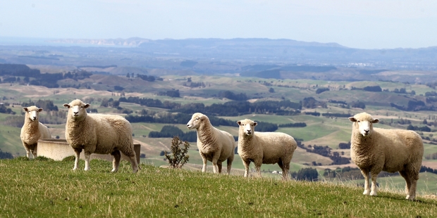 As China's middle-class grows so, too, does its appetite for New Zealand-grown meat.