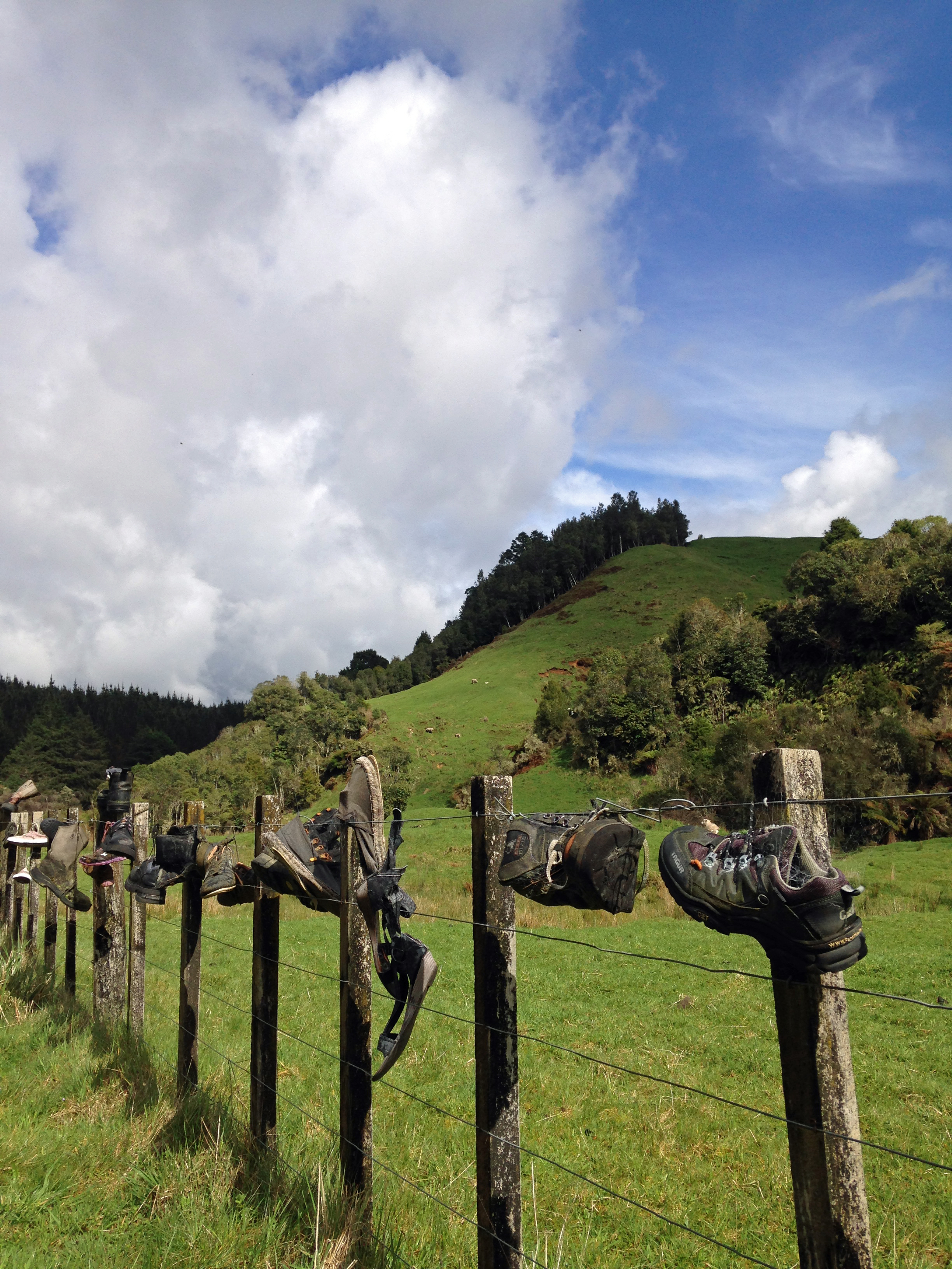 A fence covered in tramping boots near the entrance to Tawarau Forest, west of Waitomo. Photo / Eveline Harvey