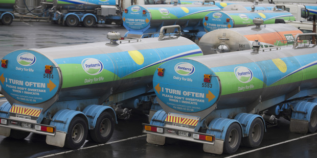 Milk tankers stand at a Fonterra Cooperative Group Ltd. factory in Kauri. Photo / File