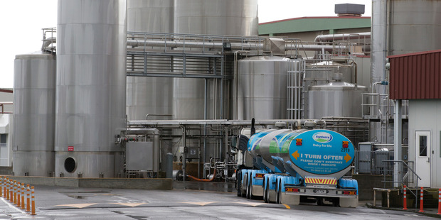 The new plant, at Fonterra Clandeboye near Temuka, will double Fonterra's ability to produce individually quick frozen (IQF) mozzarella, the company said. Photo / Mark Mitchell