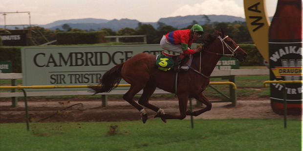 All In Fun, pictured above, racing in Hamilton, was the last Stratford owned horse to enter the Melbourne Cup.