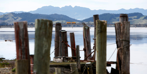 An erosion reduction programme in the Kaipara district is showing results. Photo/Michael Cunningham
