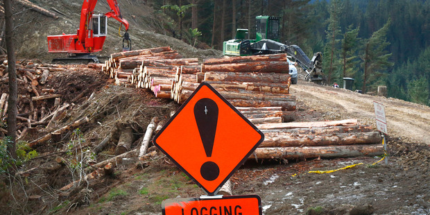 Well maintained rural roads are needed for forest harvesting. Photo/Bevan Conley