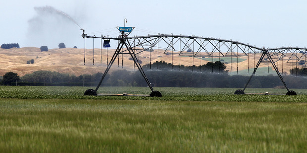 Farmers using water for irrigation schemes will be hit with a royalty under a proposed Labour policy. PHOTO/FILE