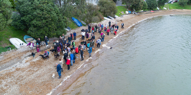 About 60 dogs and their owners gathered on Opua Beach in protest at a proposed new bylaw banning dogs from the beach.