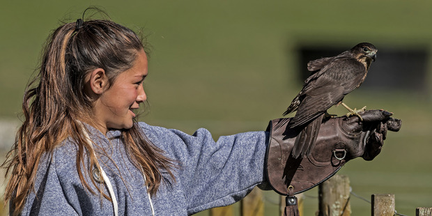 Desire Paraki, 10, of Kaingaroa Forest School visiting Wingspan.