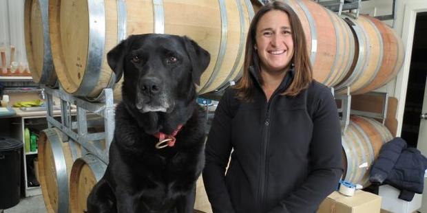 Debra Cruikshank, of Tannacrieff Wines, Cromwell, with her "Lab'' assistant Jade, was named as winner of the Rural Women New Zealand's Swazi New Zealand Entrepreneurial Enterprising Rural Women Award recently. Photo: Yvonne O'Hara