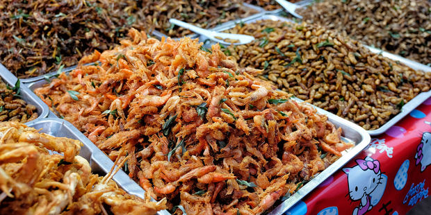 Earlier this week, Rabobank said alternative proteins, such as insects (pictured) are on the verge of becoming mainstream and "stealing" growth from traditional meat products. Photo / 123RF