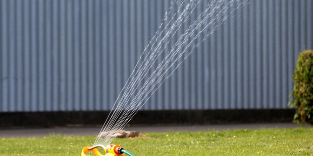 Sprinklers are being restricted across the Waikato following a spell of fine, hot weather. Photo / Duncan Brown